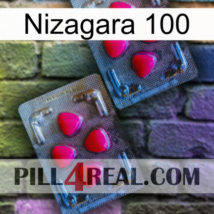 Nizagara 100 14